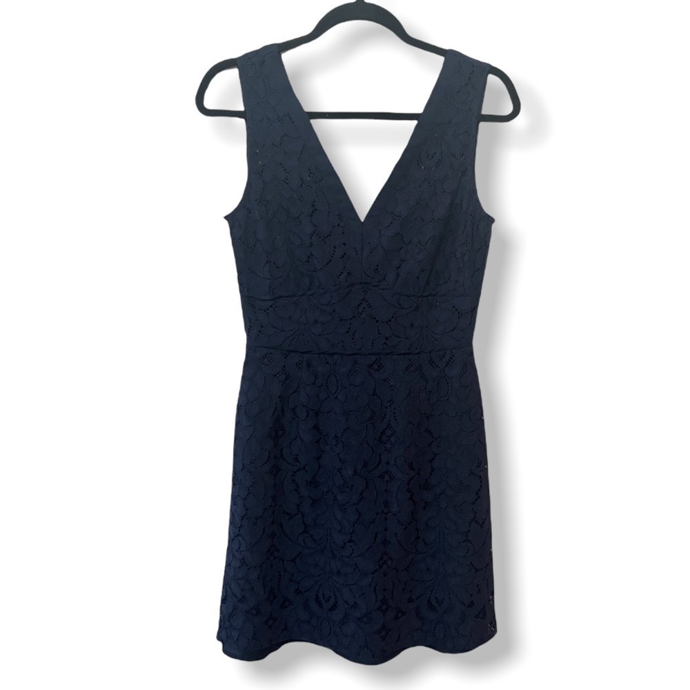 BB Dakota Navy Blue Lace V Neck A line knee length business casual Mini Dress